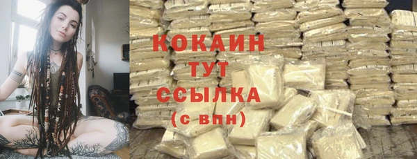 дживик Алзамай